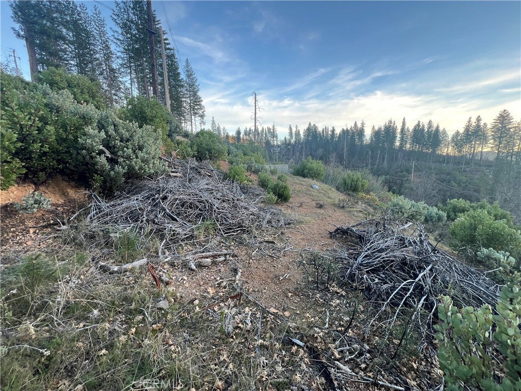 16790 Starview Loop Rd