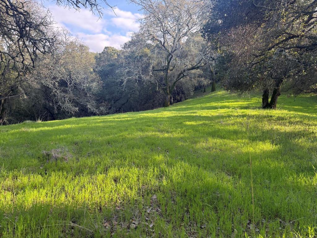 Photo 1 of 9 — 0 Chesbro Lake Drive, Morgan Hill, CA 95037