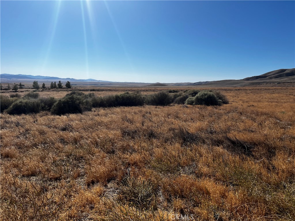 Carrizo Plains/California Valley(62) - Land