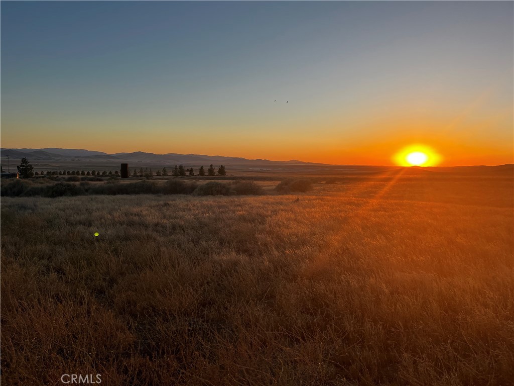 Carrizo Plains/California Valley(62) - Land