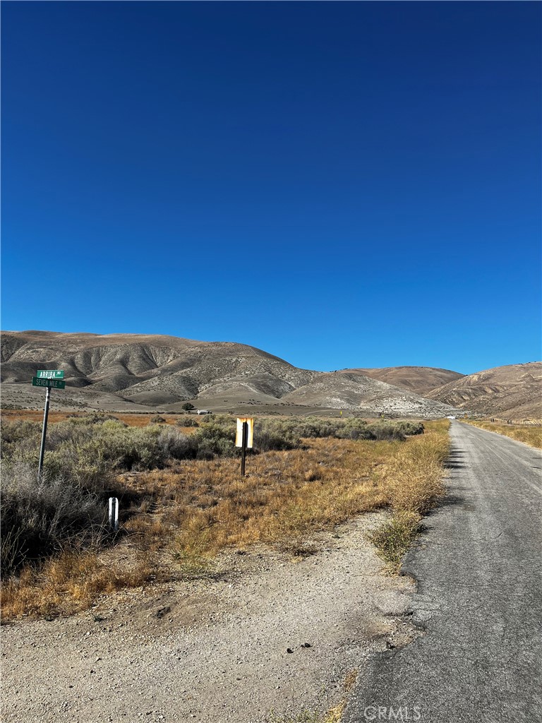 Carrizo Plains/California Valley(62) - Land