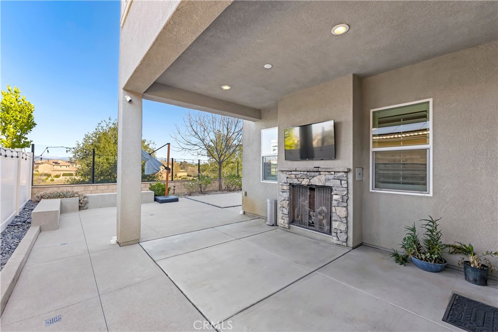 31784 Desert Holly