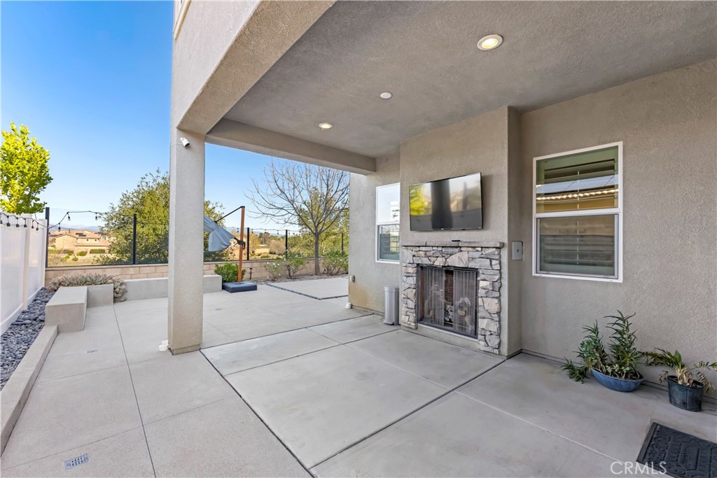 31784 Desert Holly