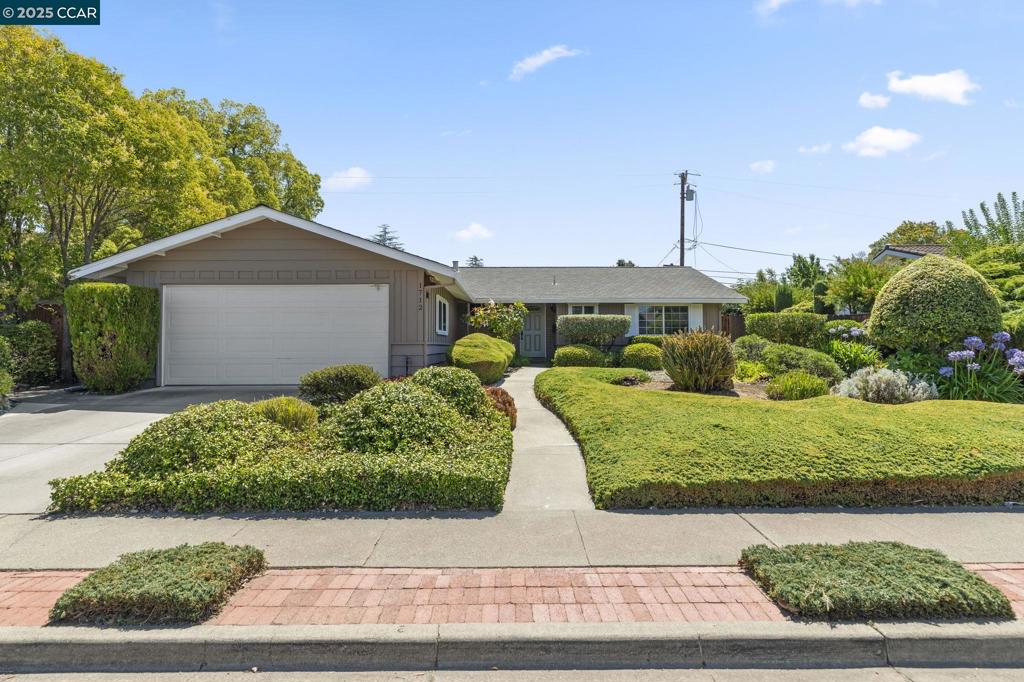 Welcome to this charming, 3-bedroom, 2-bathroom single-level home with a sparkling pool! Garden like front yard with a very welcoming curb appeal. Step inside, you will be greeted with natural hardwood floors and a lots of natural light with nearly wall to wall windows and big sliders leading to the back yard pool area. Inviting space has contiguous designed for both comfortable living and effortless entertaining. An updated and well-appointed kitchen that opens seamlessly to the dining area and family room, creating a perfect flow for gatherings and relaxing evenings. Kitchen is designed calculatedly and offers stainless steel appliances including gas cooktop, double oven and French door style refrigerator. Primary bedroom offers ample closet space and den like space for your comfort. There is direct access to the backyard, a low-maintenance oasis with bamboo providing added privacy. Two other bedrooms are very spacious and share an updated hallway bath. A designated laundry room with wash basin! Sparkling swimming pool and spa. Well designed deck with drainage system Ample space on both sides of the house. Let your imagination soar! One of the most convenient locations! Just minutes from shopping, dining, recreation, parks, Concord BART station only about 8 minutes away by car.