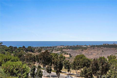 2438 Calle Aquamarina San Clemente CA 92673