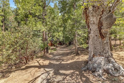 Photo of 55170 Daryll Road, Idyllwild, CA 92549 (MLS # 219148044PS)
