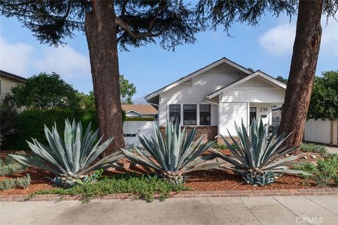 Photo of 239 W Palm Ave, Monrovia, CA 91016 (MLS # AR26106283)
