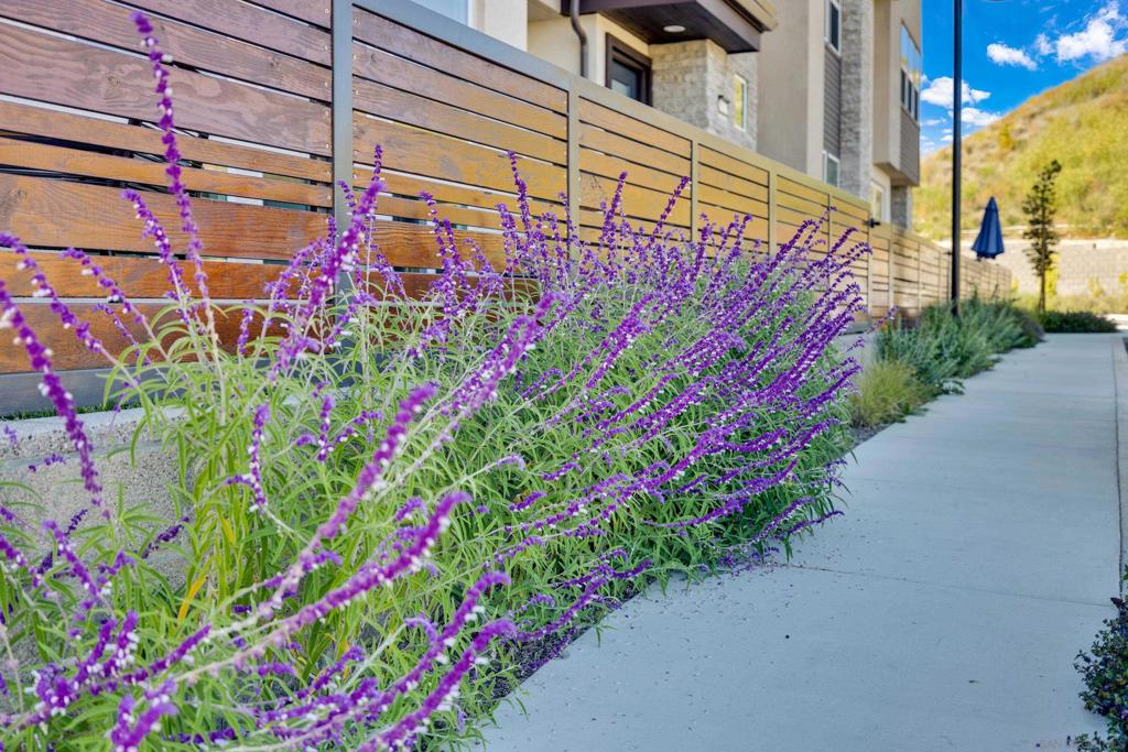 Mira Mesa - Residential