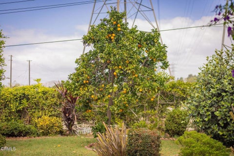 Tiny photo for 6469 Tanager Street, Ventura, CA 93003 (MLS # V1-38737)
