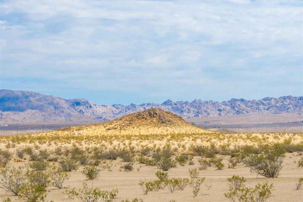 Located in Twentynine Palms, this 54,450 square foot parcel offers ample space to bring your desert vision to life. Set in a community known for its proximity to Joshua Tree National Park, this lot places you near world-class hiking, stargazing, and the vibrant local arts scene. The area also hosts events like the Joshua Tree Music Festival and the annual Hwy 62 Open Studio Art Tours. Whether you're drawn by the quiet of the open desert or the pulse of local culture, this location offers a bit of both. Buyer to verify all utilities.