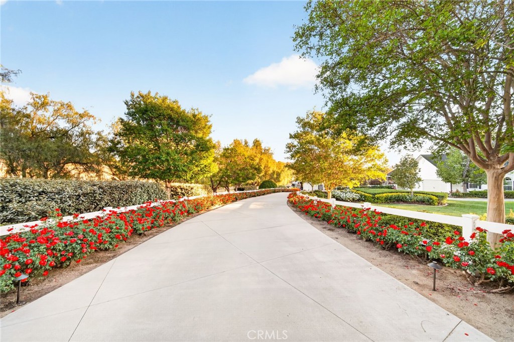 41515 Via Del Monte