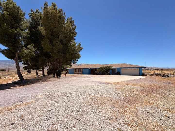 10646 Orchard