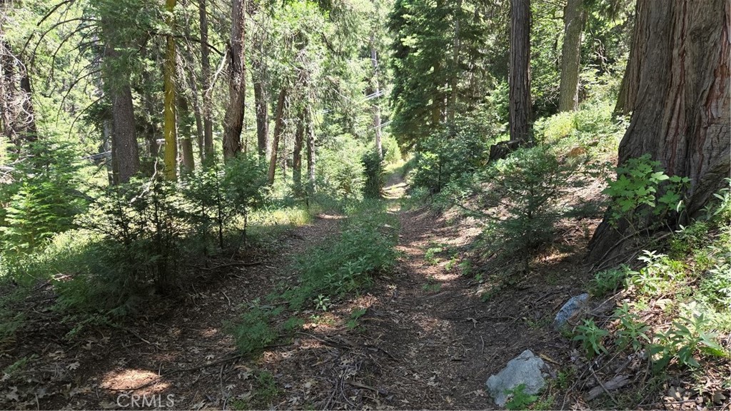 0 Deer Run Road