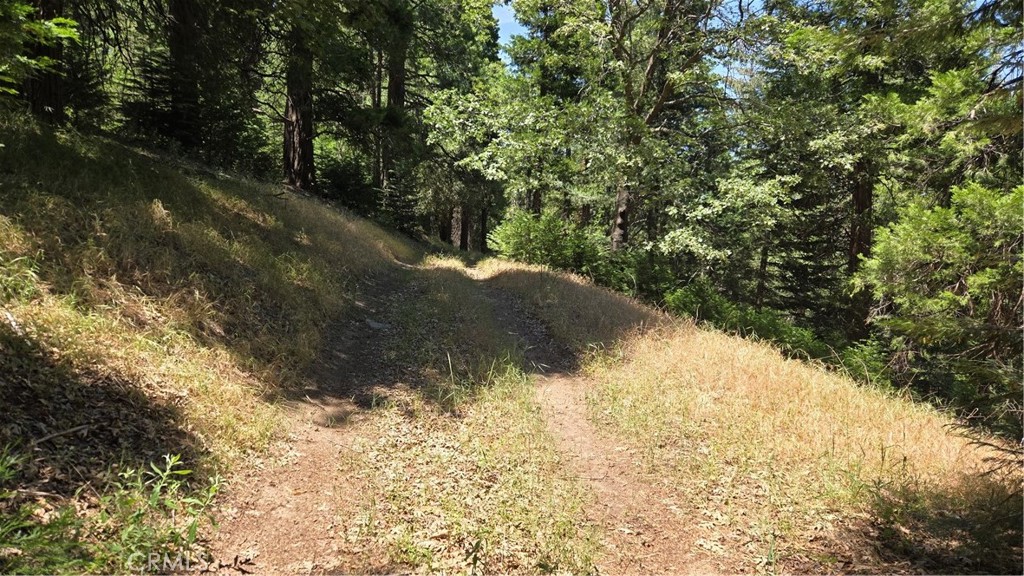 0 Deer Run Road