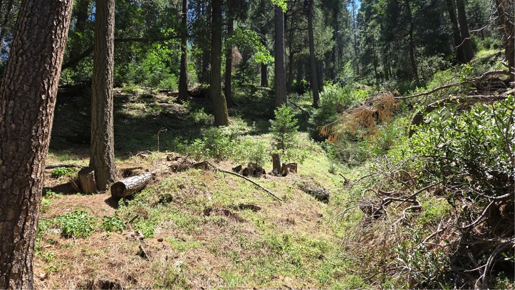 0 Deer Run Road
