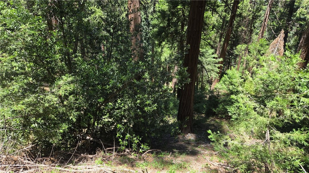 Own a beautiful part of the forest in the Cedarpines Park area of the San Bernardino mountains. If getting off the grid is something you want to do, this could be the perfect spot for you. It's heavily forested and an absolutely beautiful area. Owner will consider financing on a Note and Deed of Trust or on a Land Contract of Sale with very favorable terms. Buyer to verify all use information and utilities with the proper governing bodies and agencies. Use these coordinates to locate the property: Latitude: 34.259491 / Longitude: -117.325259. That will put you just about in the center of Parcel 18.No address has been assigned by the county as yet.