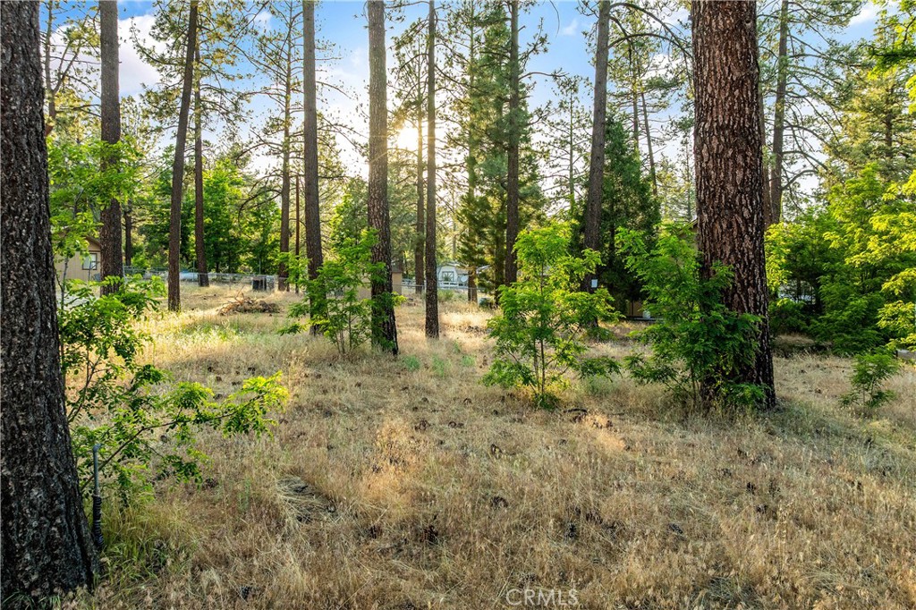 59485 State Highway 74