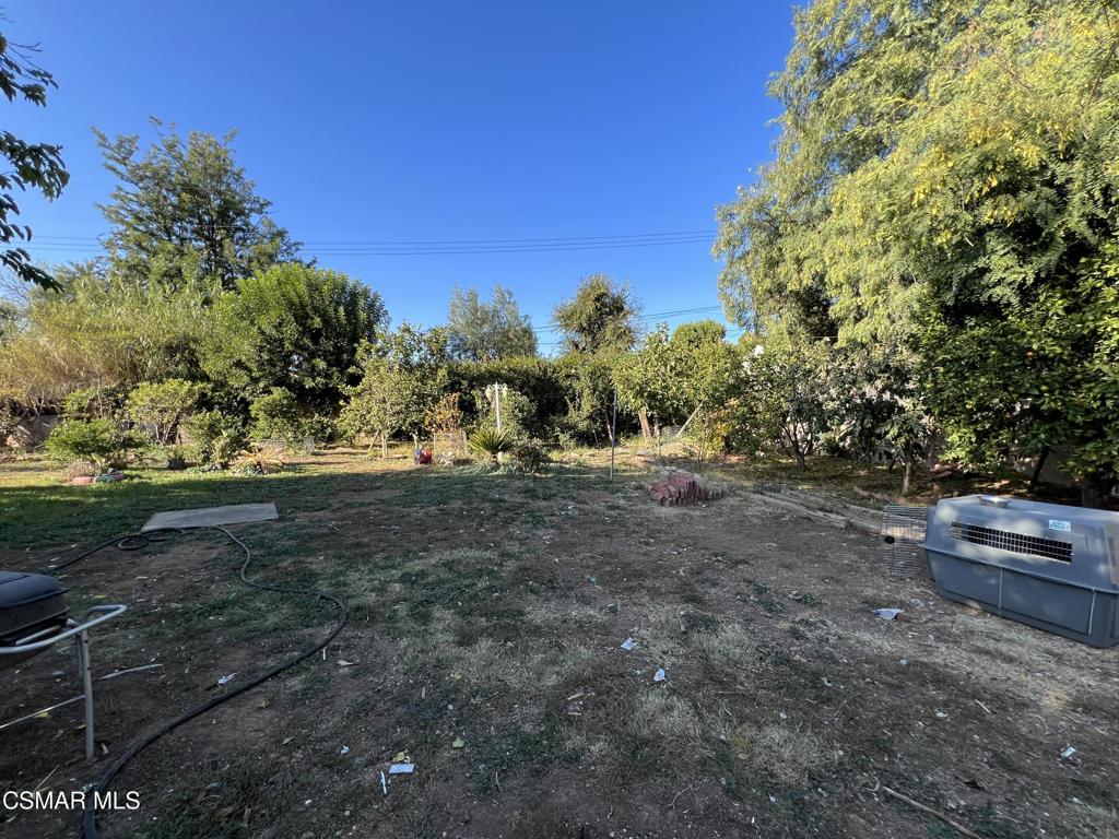 Springtime - 1458 - Residential