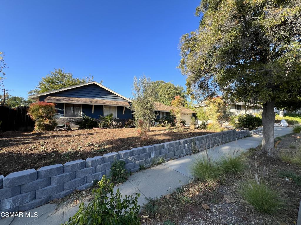 Springtime - 1458 - Residential