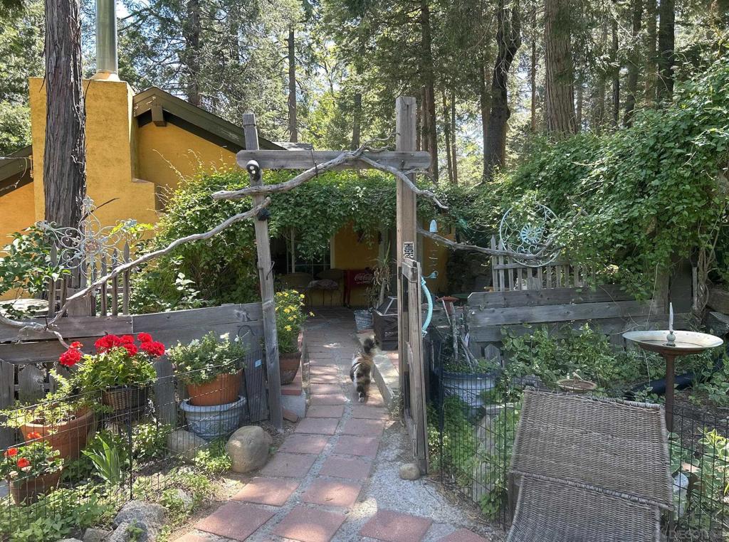 Nestled in the serene embrace of Palomar Mountain, this enchanting 2-bedroom, 1-bath storybook cottage offers a magical escape surrounded by Cedar & Douglas firs, blooming wildflowers, & peaceful forest views from every window. With its open floor plan, high-beamed ceilings, and cozy loft, the home invites the outdoors in, creating a seamless connection to nature. Whether basking in the lush greens of spring or the quiet beauty of a snow covered Winter, this private woodland retreat offers year-round wonder. Included are two parcels—the main cabin lot .48-acre plus an additional .47-acre parcel—providing space, privacy, and potential to expand your mountain dream. Nestled in the serene embrace of Palomar Mountain, this enchanting 2-bedroom, 1-bath storybook cottage offers a magical escape surrounded by Cedar & Douglas firs, blooming wildflowers, & peaceful forest views from every window. With its open floor plan, high-beamed ceilings, and cozy loft, the home invites the outdoors in, creating a seamless connection to nature. Whether basking in the lush greens of spring or the quiet beauty of a snow covered Winter, this private woodland retreat offers year-round wonder. Included are two parcels—the main cabin lot .48-acre plus an additional .47-acre parcel—providing space, privacy, and potential to expand your mountain dream.