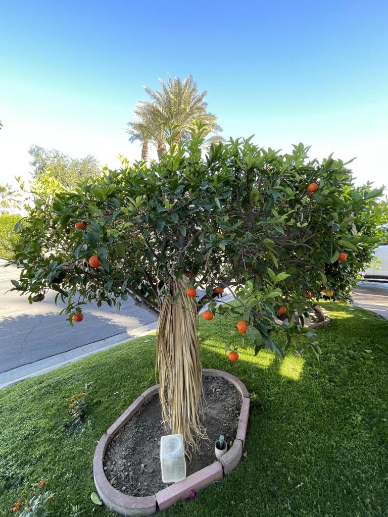 Desert Aire - Manufactured In Park