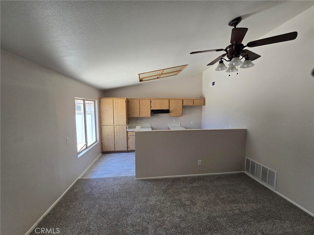 14572 Agave
