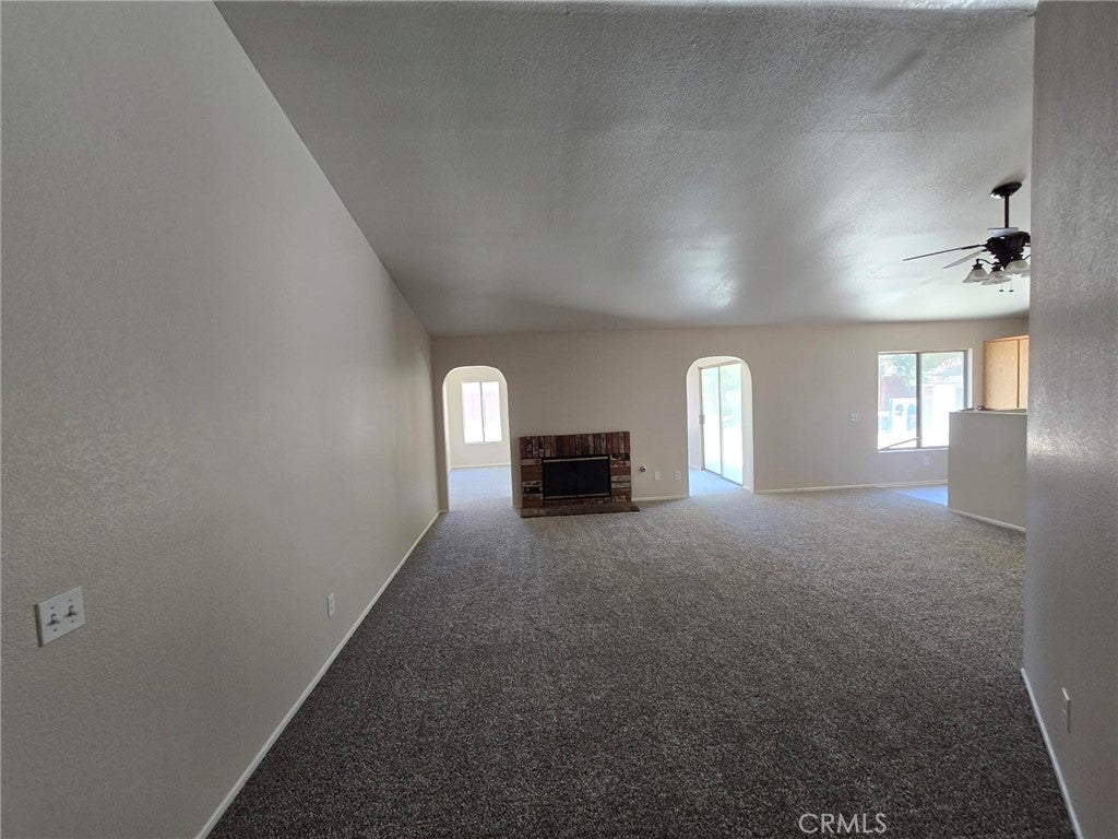 14572 Agave