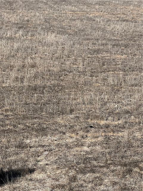 0 Road Vidal CA 92280