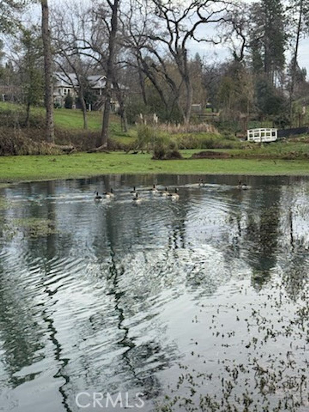 Photo of 5623 Wilson Ln, Paradise, CA 95969 (MLS # SN26014282)