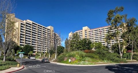 24055 Paseo Del Lago 1058 1058 Laguna Woods CA 92637