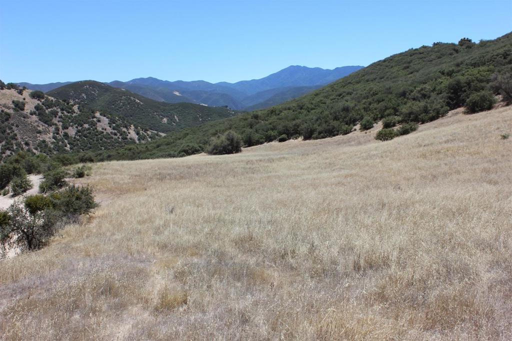 0 E Carmel Valley Road