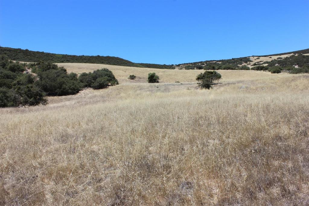 0 E Carmel Valley Road