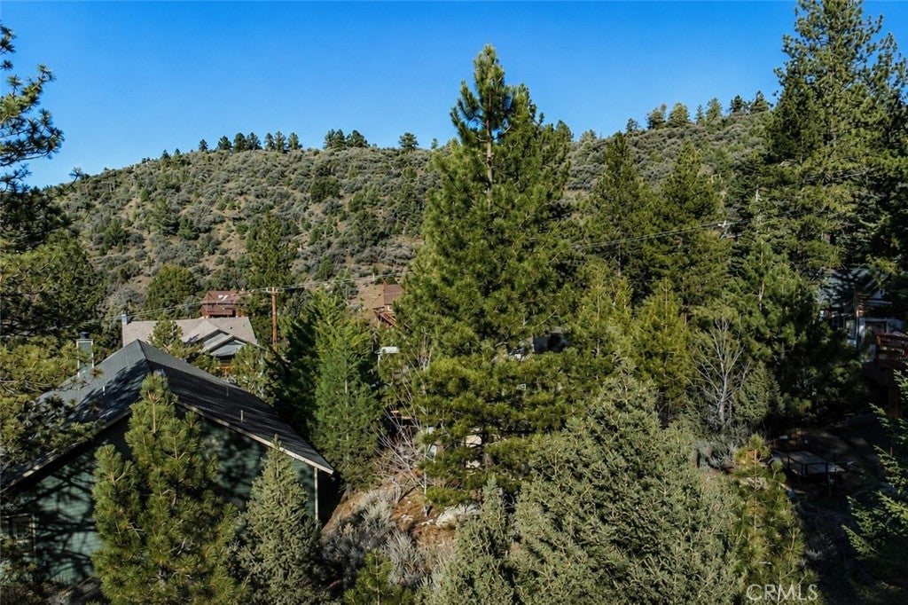 15113 Chestnut Drive