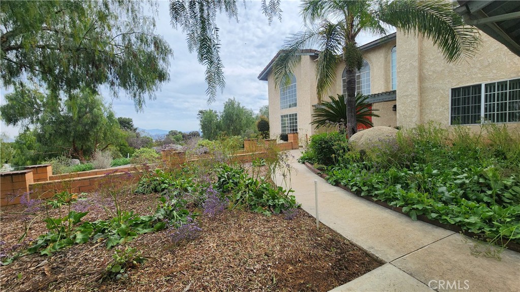 23729 Citrus Avenue