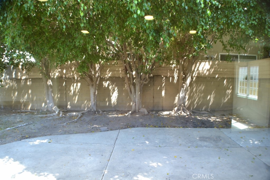 other - Residential Lease