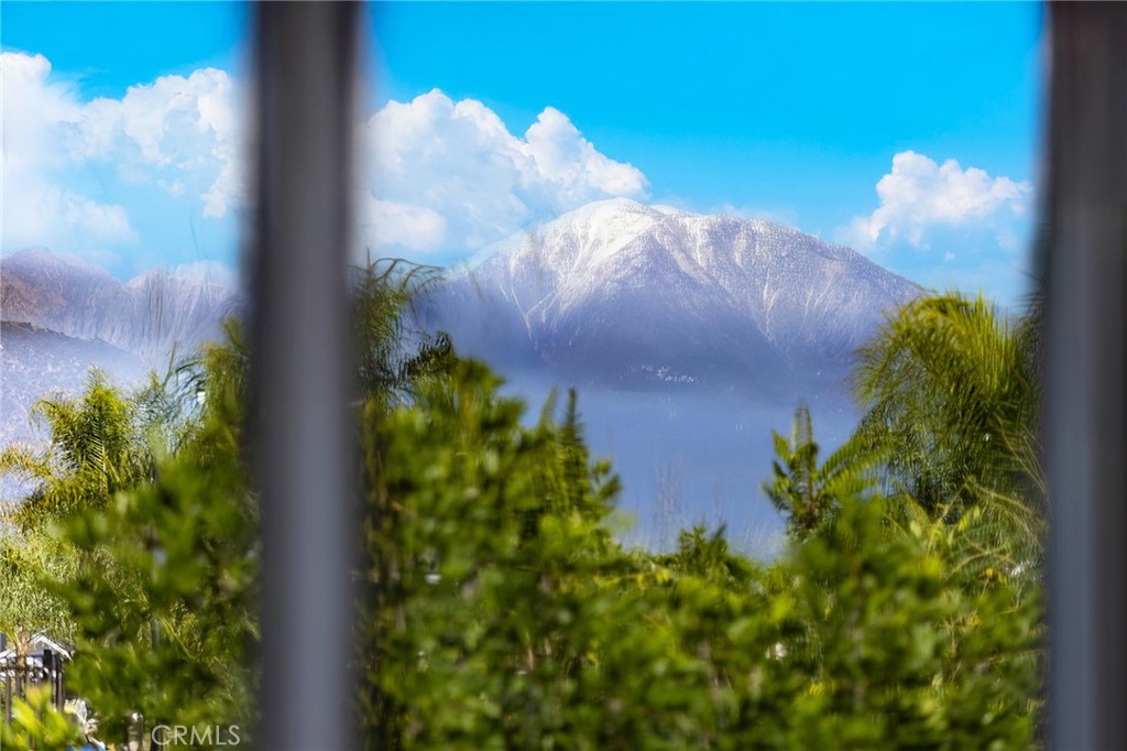 15188 Masline Street