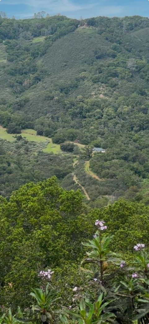 Photo of 0 O Uvas Road, Morgan Hill, CA 95037 (MLS # ML82039509)