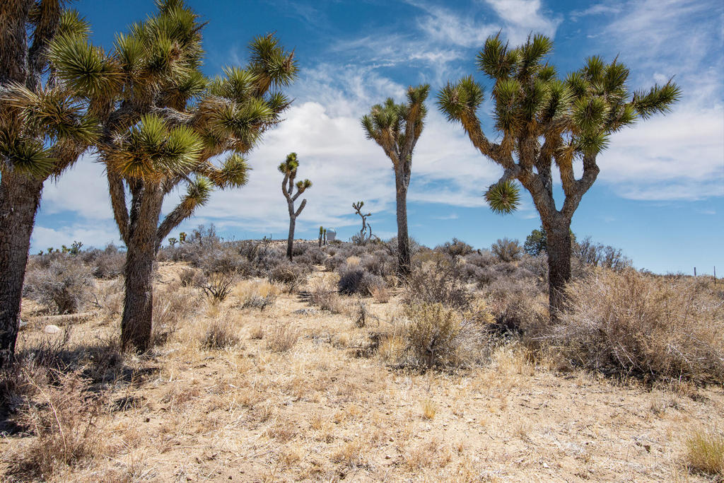 Not Applicable-1 - Land