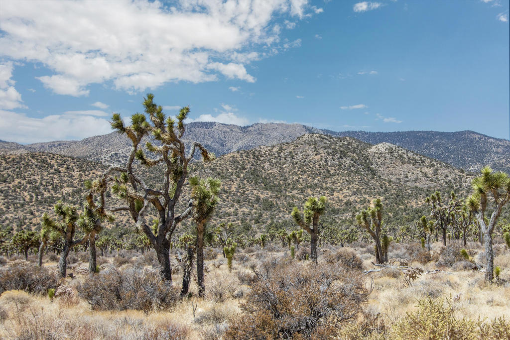 Not Applicable-1 - Land