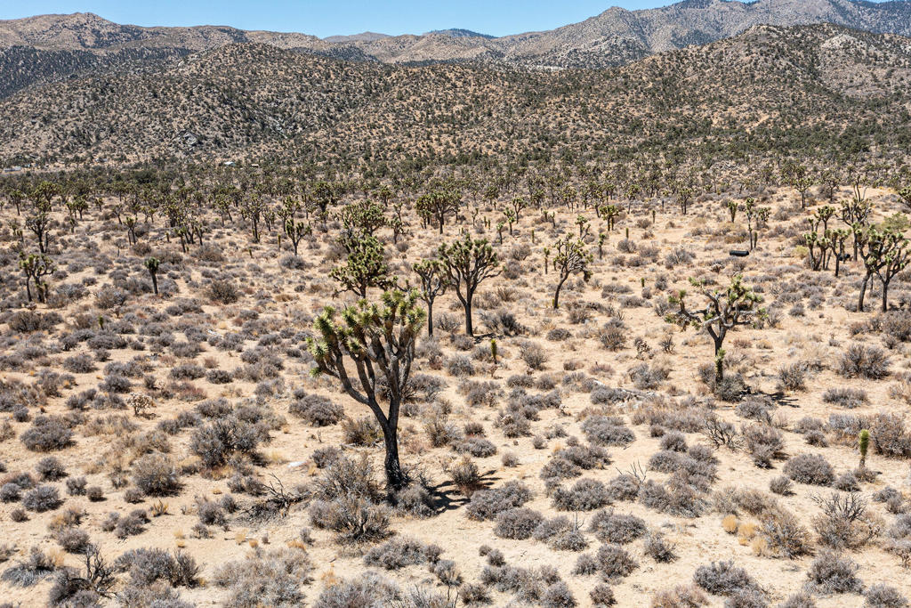 Not Applicable-1 - Land