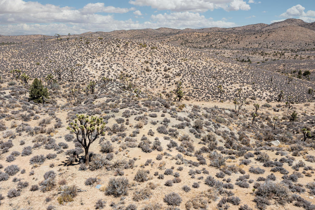 Not Applicable-1 - Land