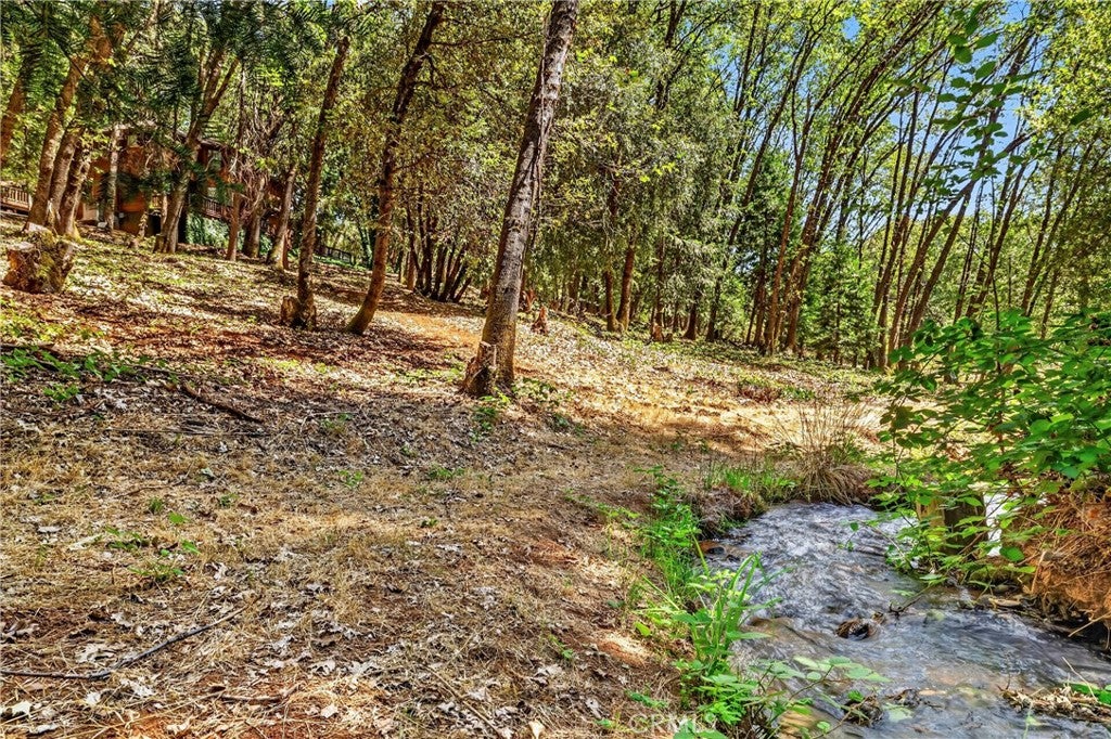 6055 Timber Ridge