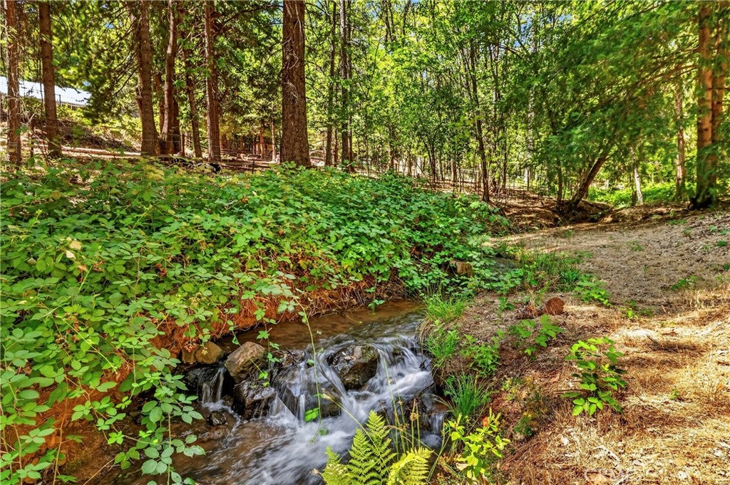6055 Timber Ridge