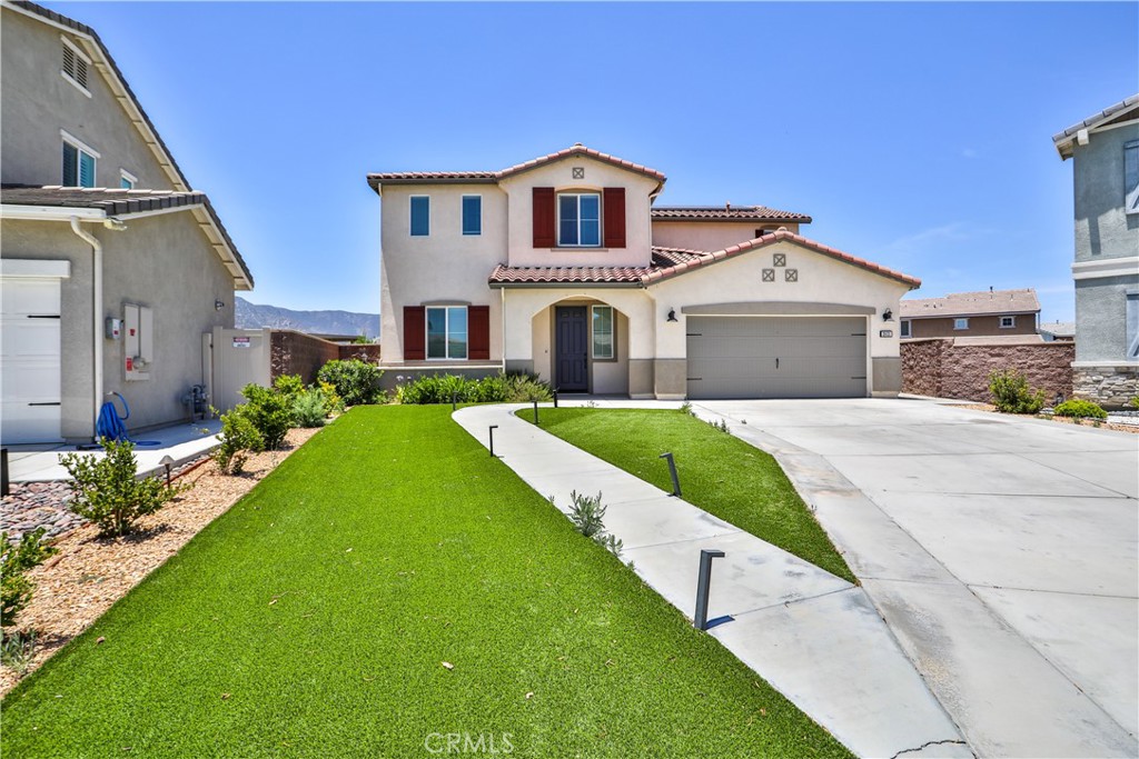 29131 Brittbush