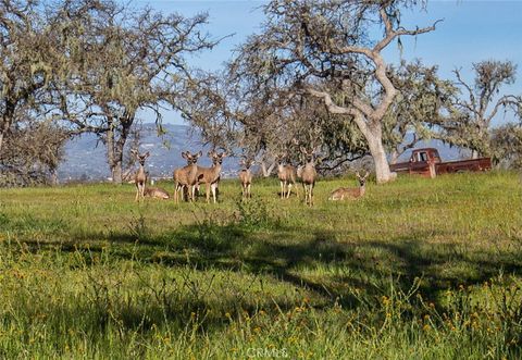 Tiny photo for 930 Windwood Road, Paso Robles, CA 93446 (MLS # NS25081081)