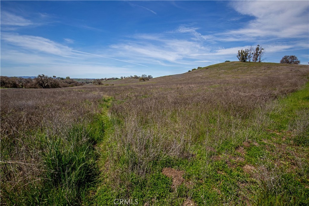 Paso Robles, California, 93446, United States, 2 Bedrooms Bedrooms, ,1 BathroomBathrooms,Residential,Active,1771479
