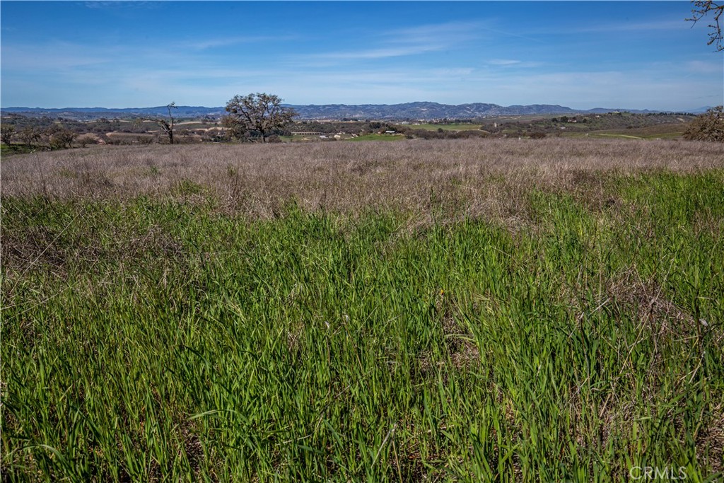 Paso Robles, California, 93446, United States, 2 Bedrooms Bedrooms, ,1 BathroomBathrooms,Residential,Active,1771479
