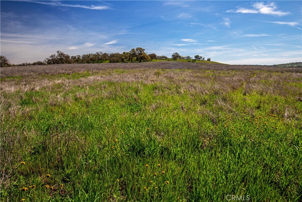 Paso Robles, California, 93446, United States, 2 Bedrooms Bedrooms, ,1 BathroomBathrooms,Residential,Active,1771479