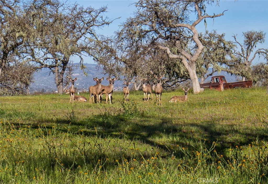 PR Linne(280) - Residential