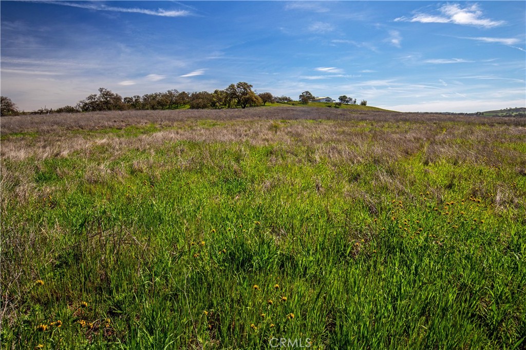 PR Linne(280) - Residential